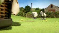 بره ناقلا (چه خبر؟)